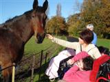 Base 1 student picture feeding the horses